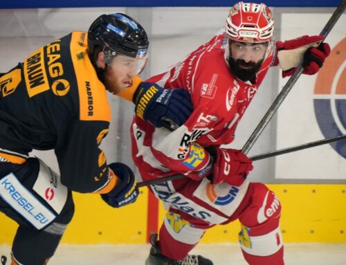 Backcheck: Ein Königreich für einen Goalie