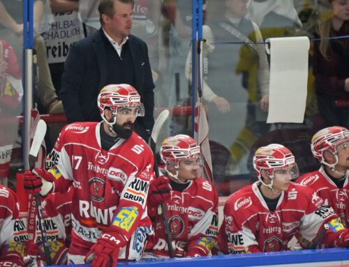 Lausitzer Füchse vs. Eispiraten Crimmitschau 6:2 (2:1,1:0,3:1)
