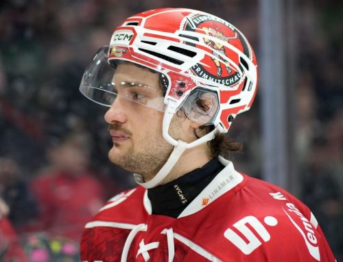 Dieser Fuchs ist in Crimmitschau gern gesehen!